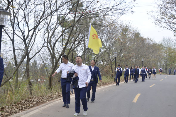 陽光行、快樂游