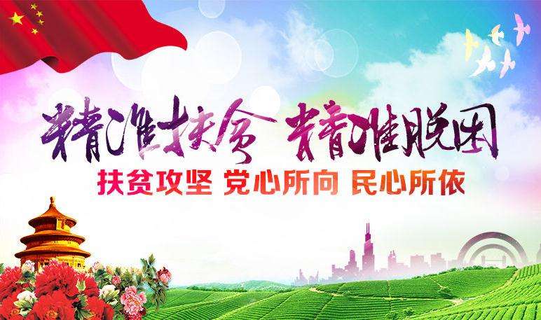 精準(zhǔn)扶貧，精準(zhǔn)脫困